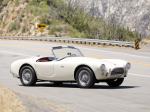 Shelby 289 Cobra 1963 года